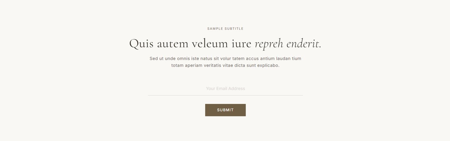 Preview of CS — Email Opt-in #2