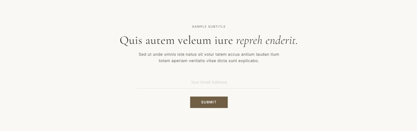 CS — Email Opt-in #2